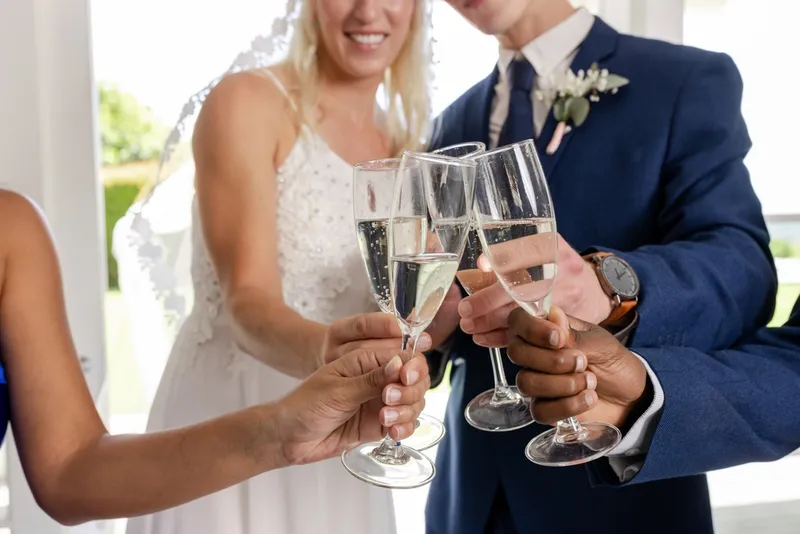 Bride, groom and guests toasting at the wedding